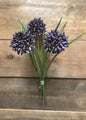 Purple Allium Grass Bundle with 3 Stems