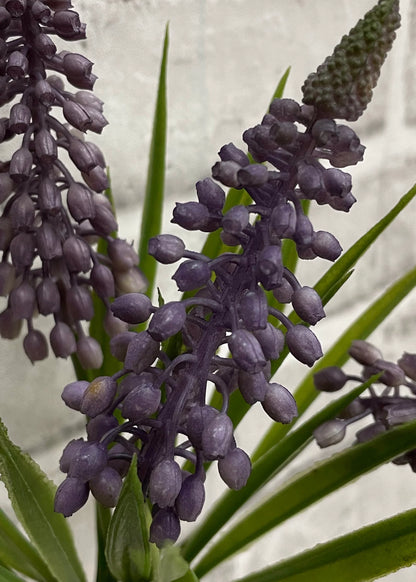 Muscari Bundle-10.5"