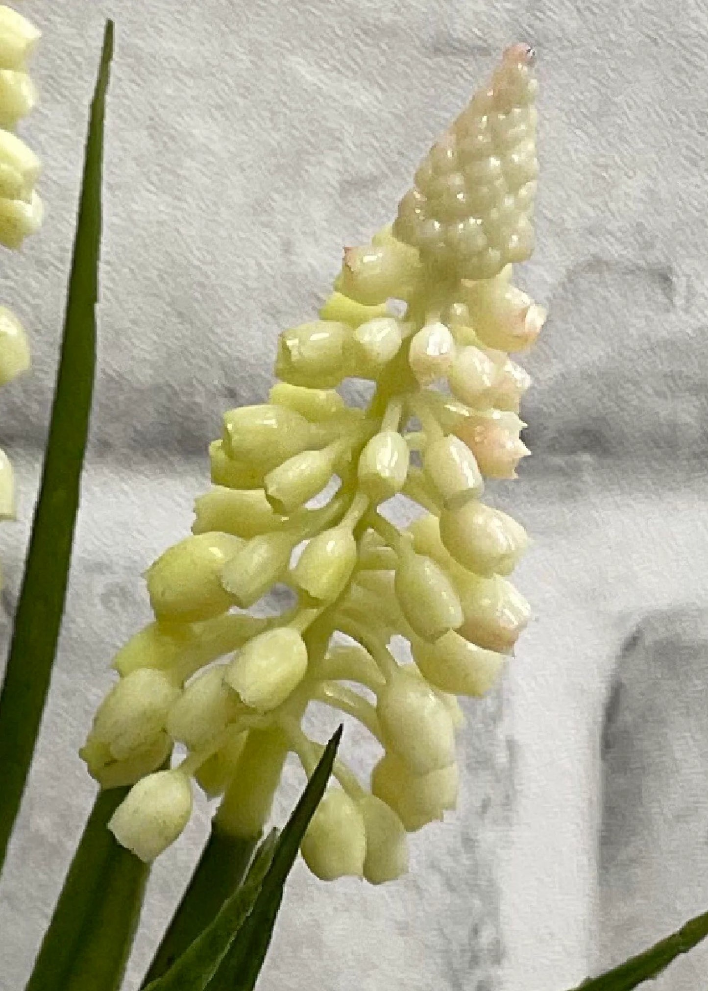 Muscari Bundle-10.5"