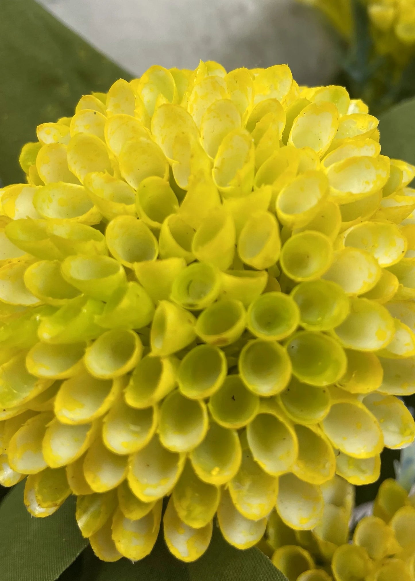 Honey Comb Bundle - Yellow 17.5"