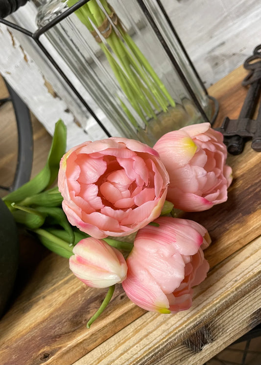 Peony Tulip Bundle
