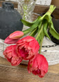 Peony Tulip Bundle
