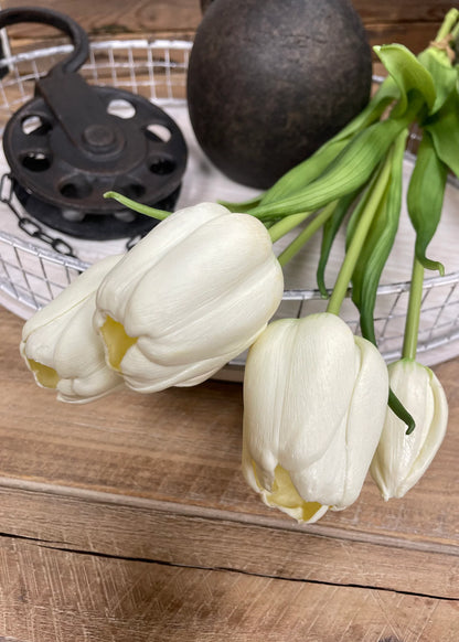 White Tulip Bouquet